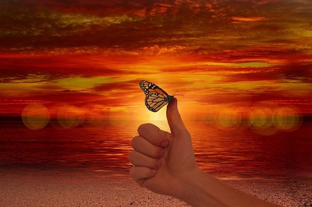 Daumen hoch Daumen mit einem Schmetterling