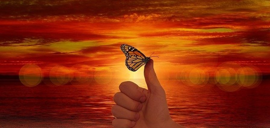 Daumen mit einem Schmetterling