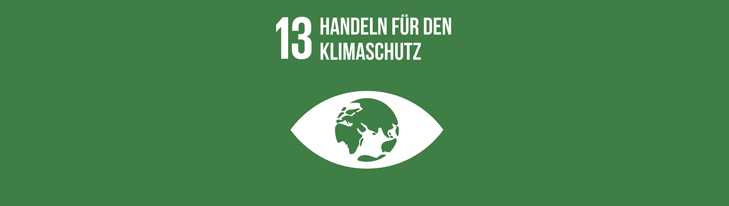 Nachhaltigkeitsziel 13: Handeln für den Klimaschutz