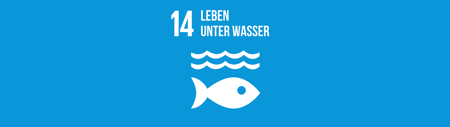 Nachhaltigkeitsziel 14: Leben unter Wasser Nachhaltigkeitsziel 14: Leben unter Wasser