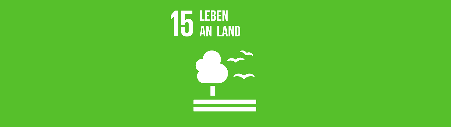 Nachhaltigkeitsziel 15: Leben an Land Nachhaltigkeitsziel 15: Leben an Land