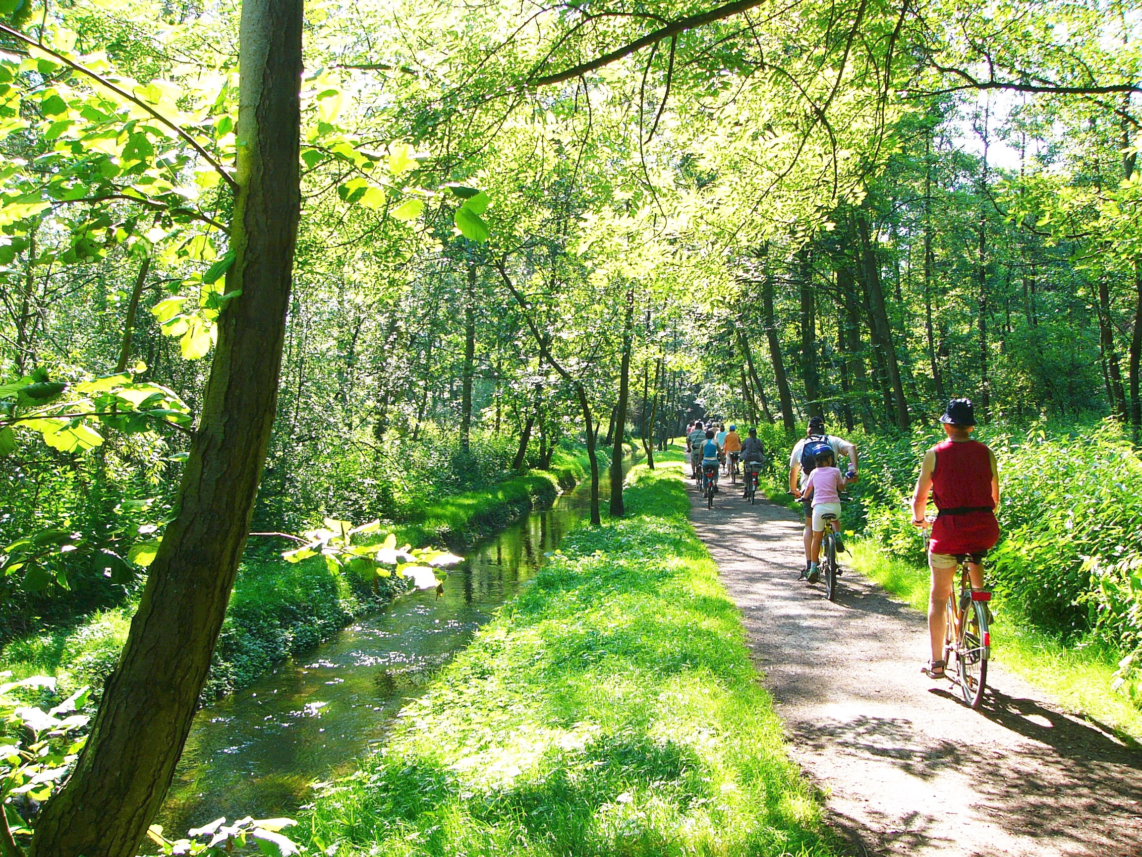 Befahrender Radweg entlang eines Baches