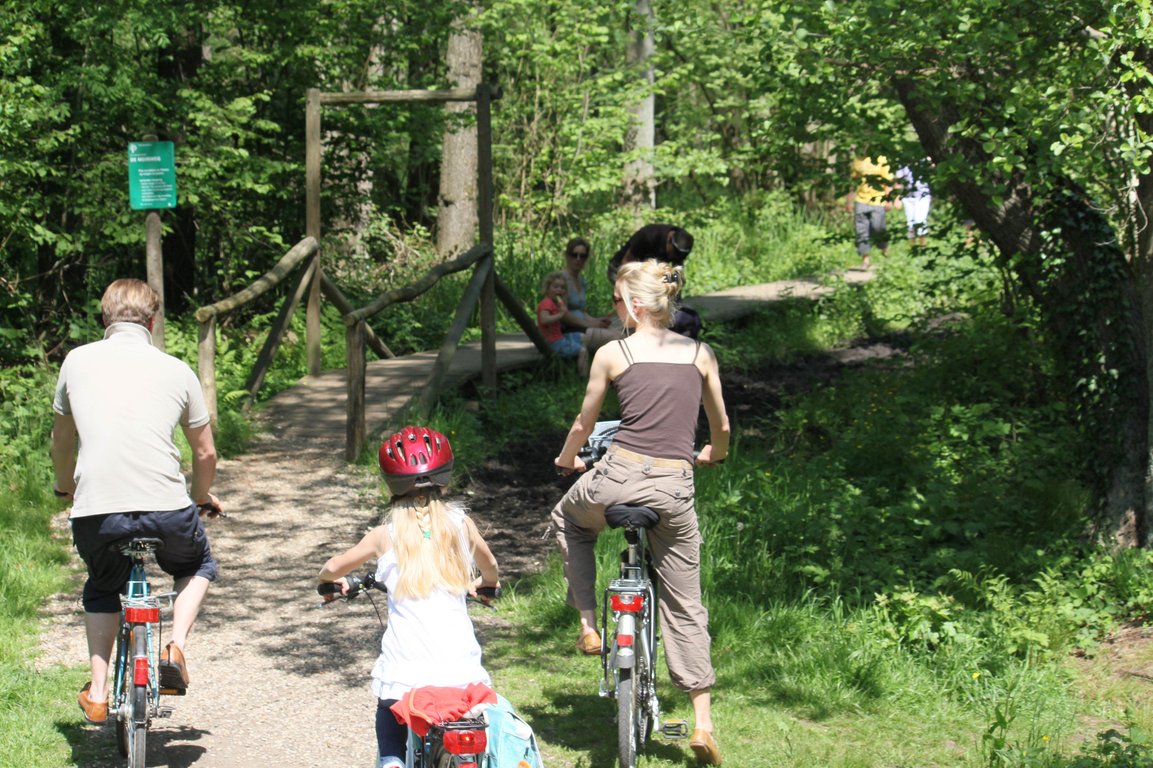 Fahrradfahrer Fahrradbegeisterte im Wald