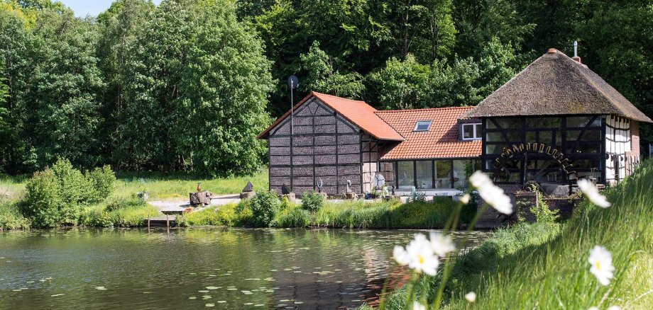 Sonnige Sicht auf die Mühle und den See