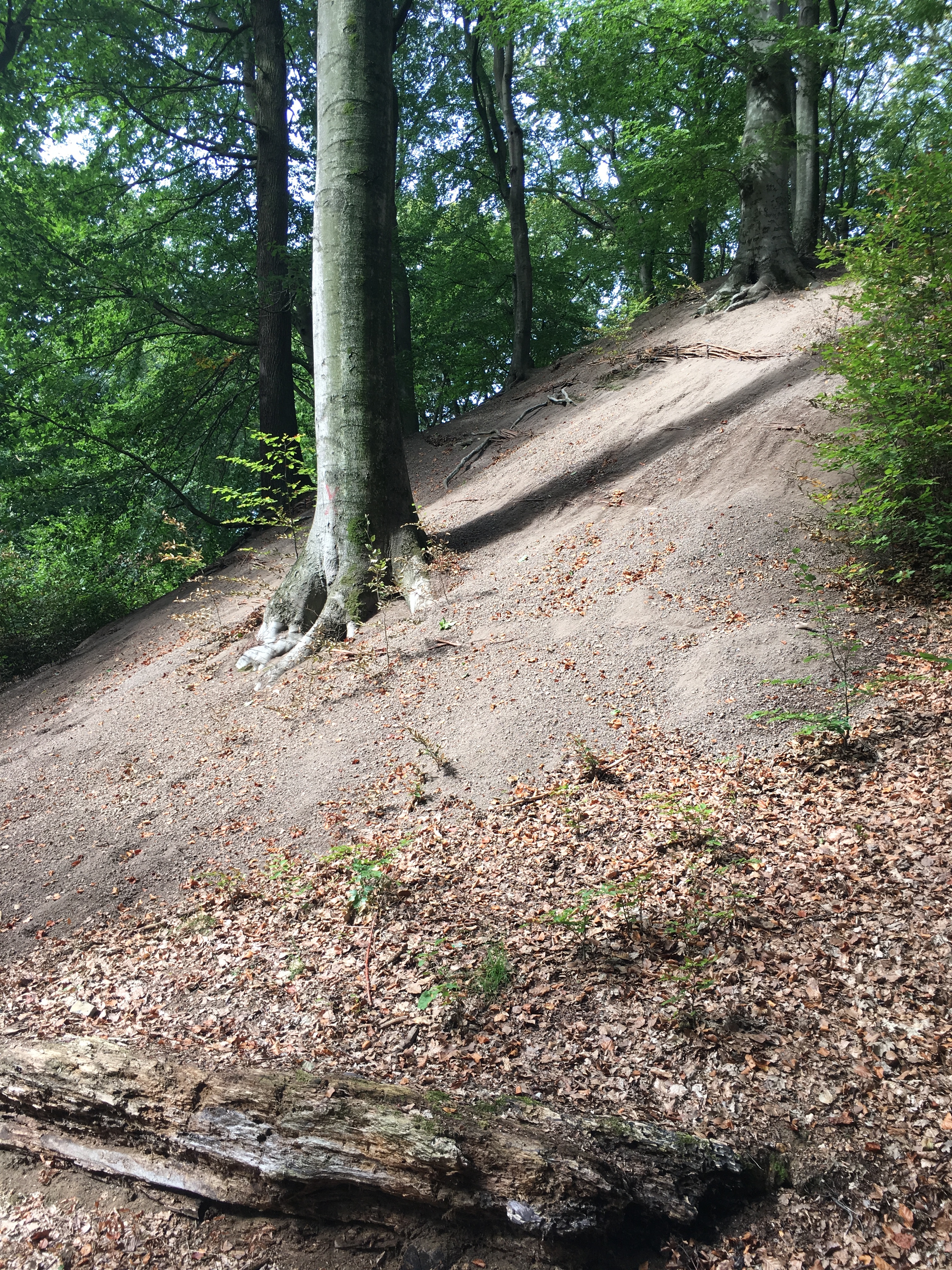 Motte Alde Berg Motte Alde Berg