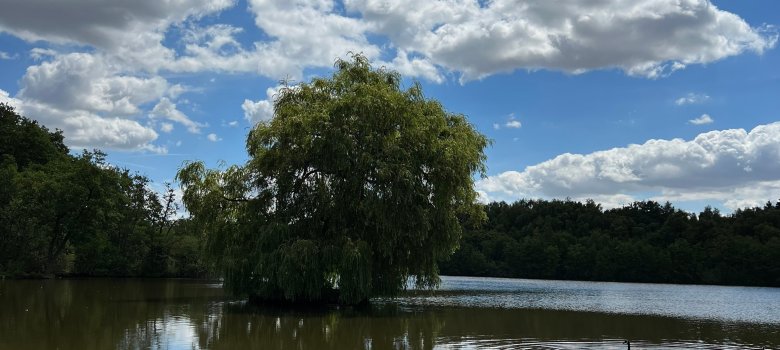 Holtmühle Landschaft