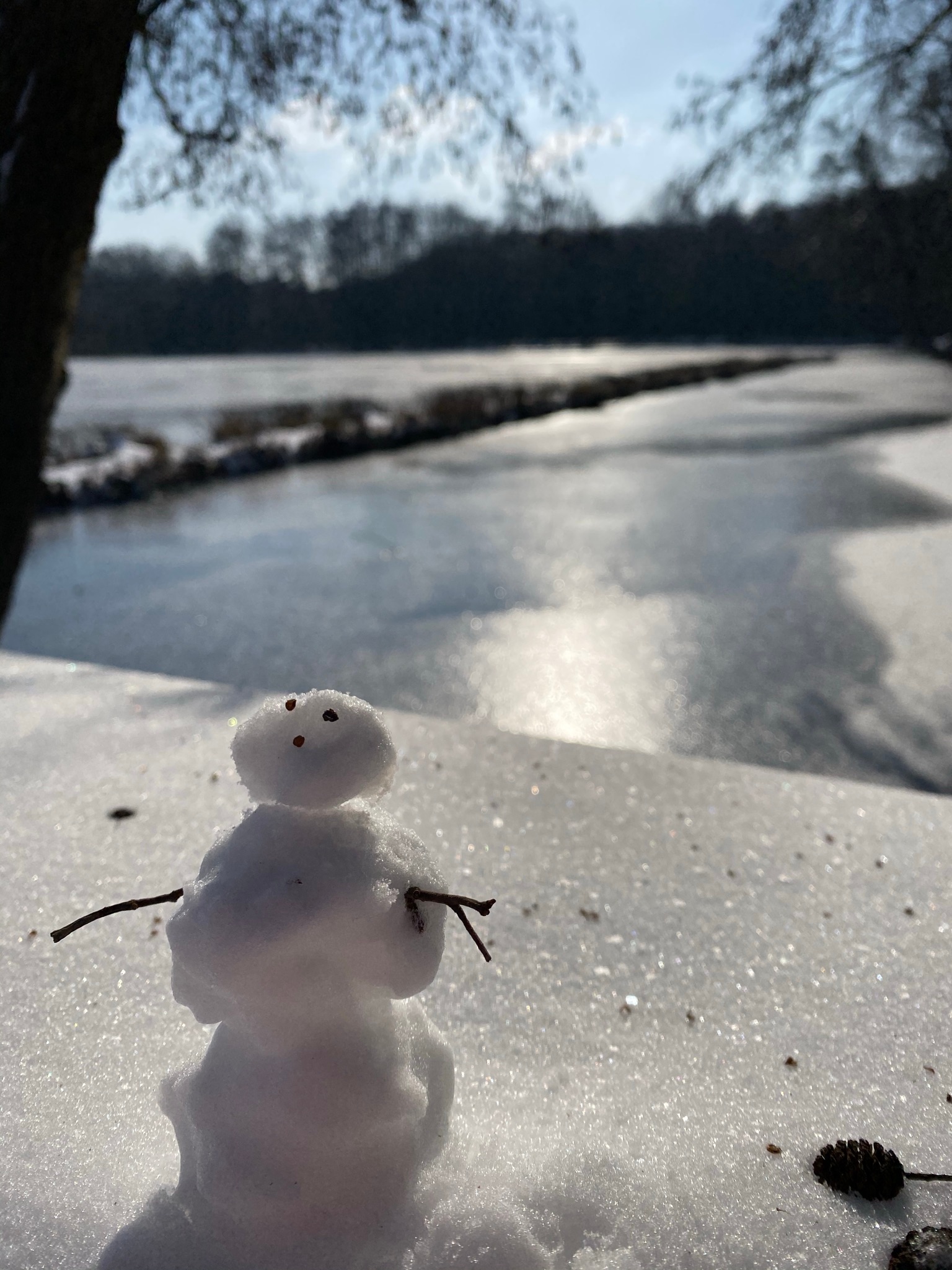 Mit Sonnenstrahlen im Hintergrund