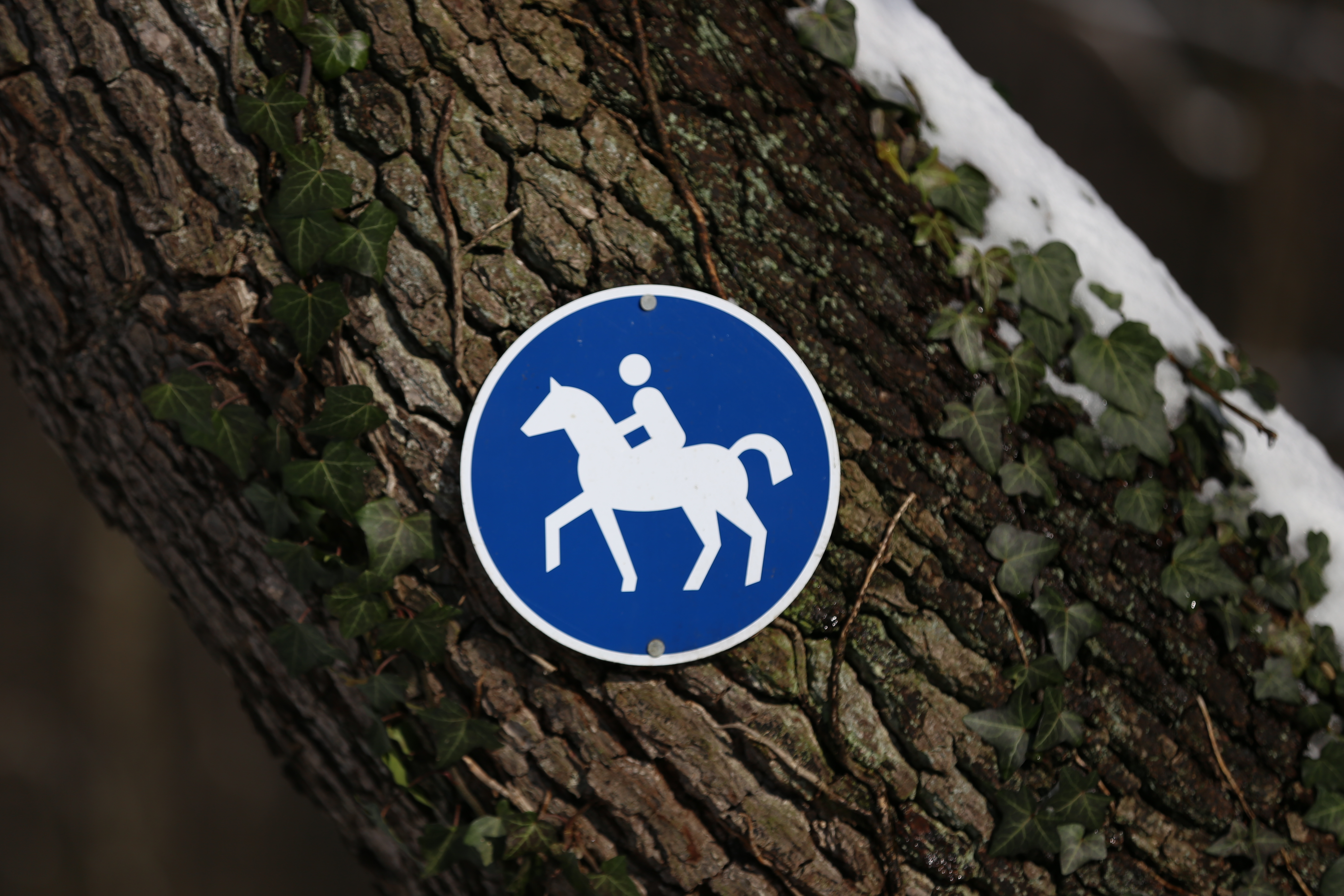 Baumstamm mit Schild "Reitweg"